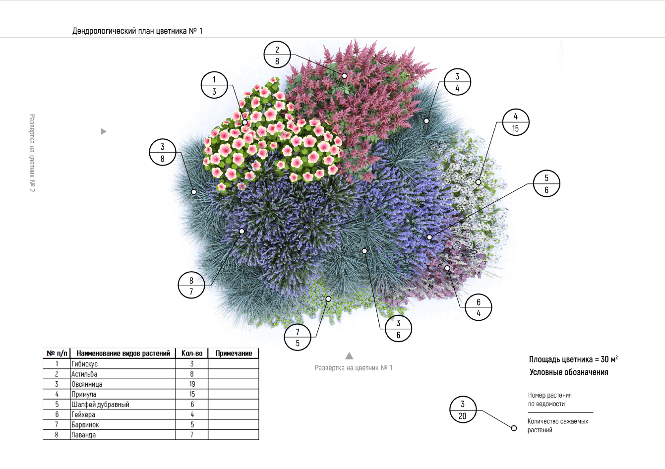 Дендроплан участка: разработка проекта озеленения и ведомость посадочного материала, подбор растений